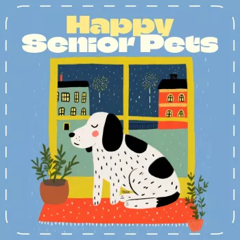 Senior Pet Comfort: Easy Tips + Printable Checklist