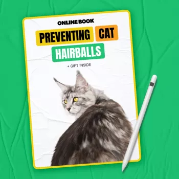 Stop Cat Hairballs: A 14-Day Indoor Grooming Plan
