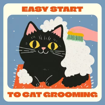 Cat Grooming for Beginners: Tools & a Simple Schedule